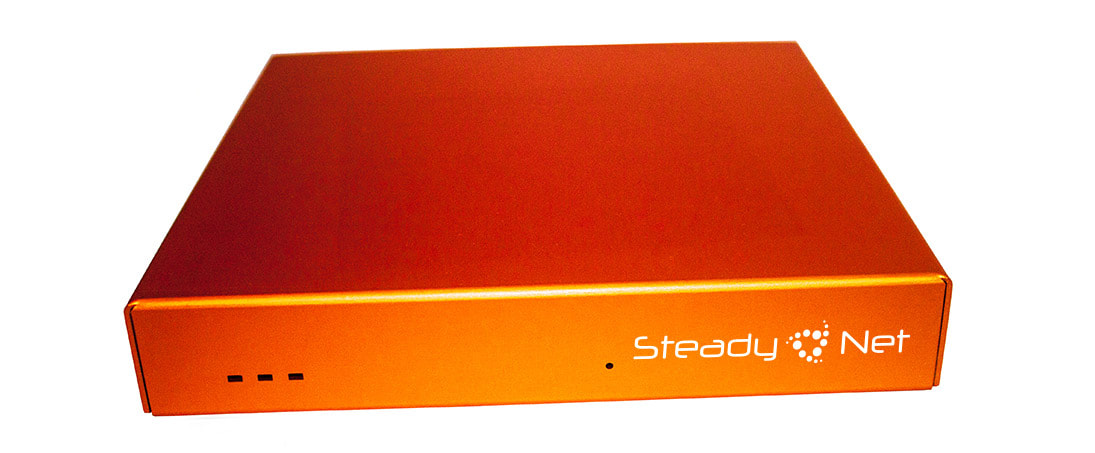 SteadyNet @Work appliance